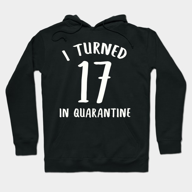 I Turned 17 In Quarantine Hoodie by llama_chill_art